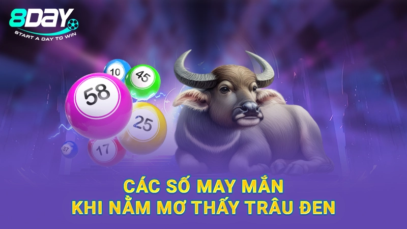 Các số may mắn khi nằm mơ thấy trâu đen