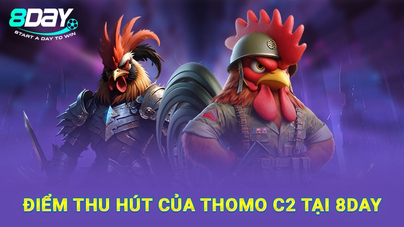 Điểm thu hút của Thomo C2 tại 8Day