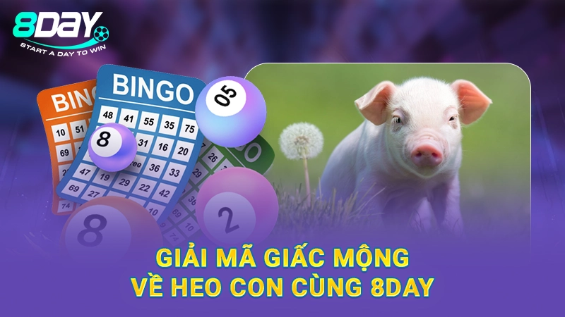 Giải mã giấc mộng về heo con cùng 8Day