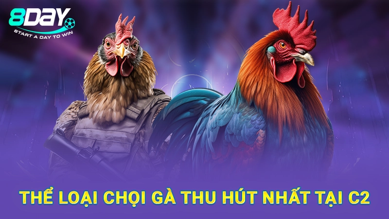 Thể loại chọi gà thu hút nhất tại C2