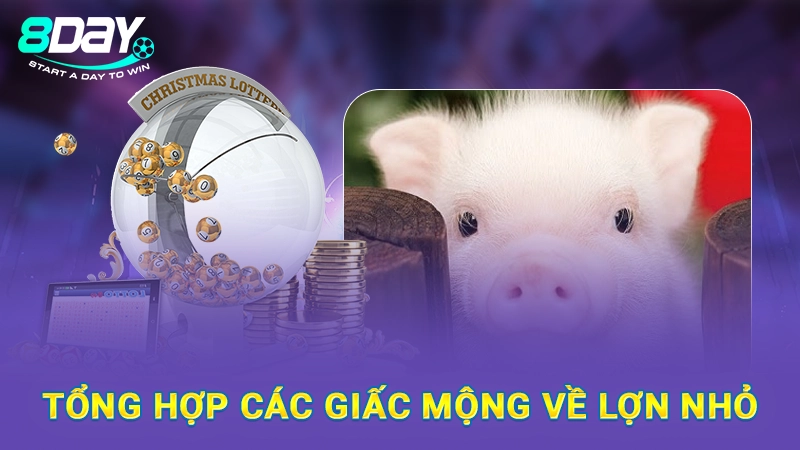 Tổng hợp các giấc mộng về lợn nhỏ